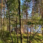 Campsite Metsaesydaen Moekki 1 Minttumaari *