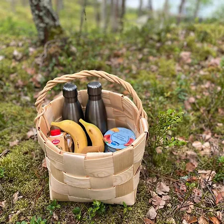 Metsaesydaen Moekki 1 Minttumaari Puumala