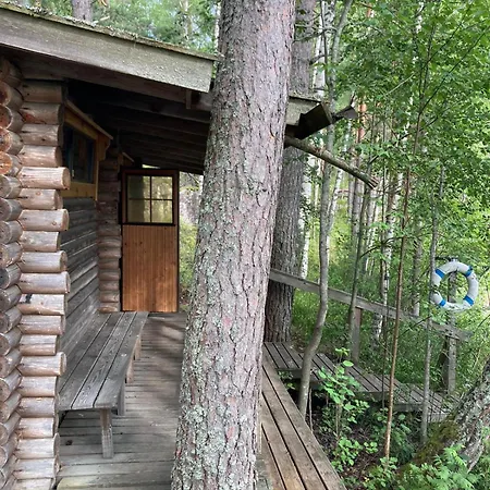 Metsaesydaen Moekki 1 Minttumaari *