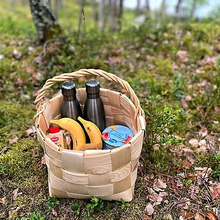 Metsaesydaen Moekki 1 Minttumaari *