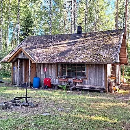Camping Metsaesydaen Moekki 1 Minttumaari