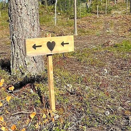 Camping Metsaesydaen Moekki 1 Minttumaari