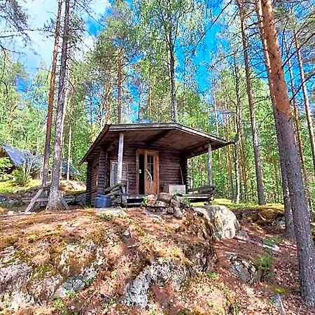 Metsaesydaen Moekki 1 Minttumaari Puumala