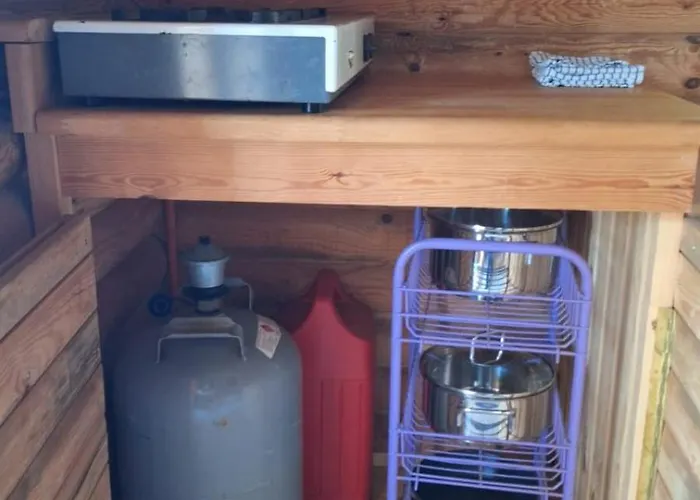 Metsaesydaen Moekki 1 Minttumaari